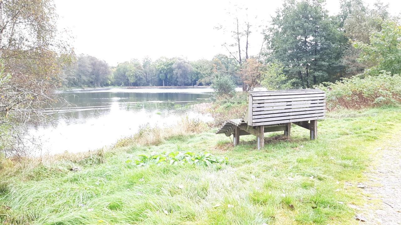 Ferienhaus Am See Lichtenberg Bayern Frankenwaldsee מראה חיצוני תמונה